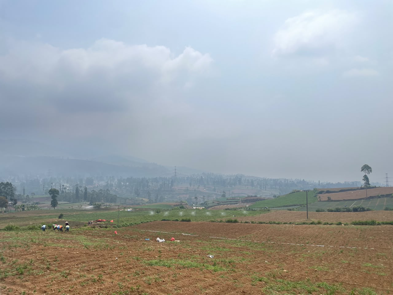 Lahan Pertanian Kentang